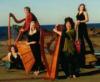 The Fellowship of the Strings